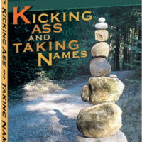 Kicking Ass and Taking Names book cover