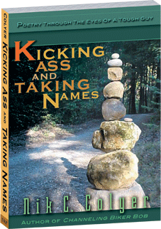 Kicking Ass and Taking Names book cover