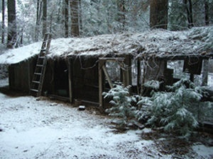 The old chicken coop